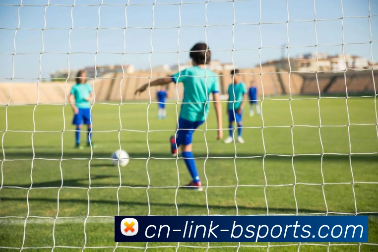 B体育APP 封面图